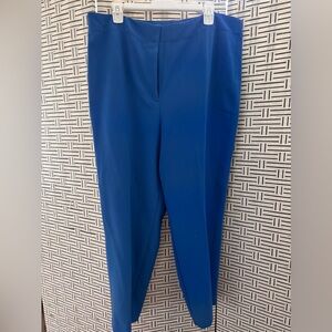 Ann Taylor Size 16 pants. Never been worn.